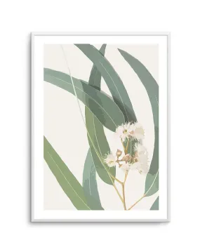 Abstract Eucalyptus II Art Print