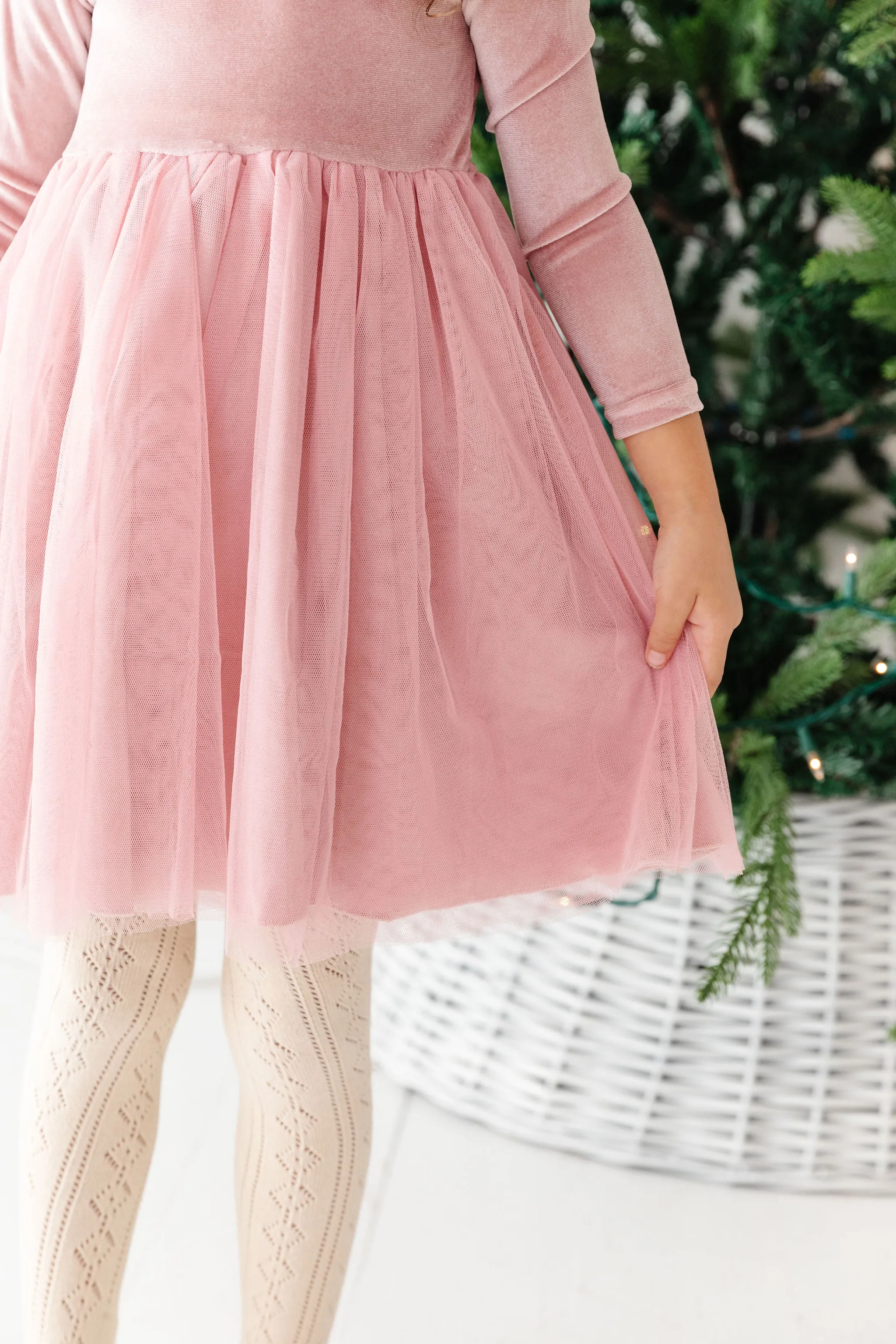 Ballet Velvet Tutu Dress