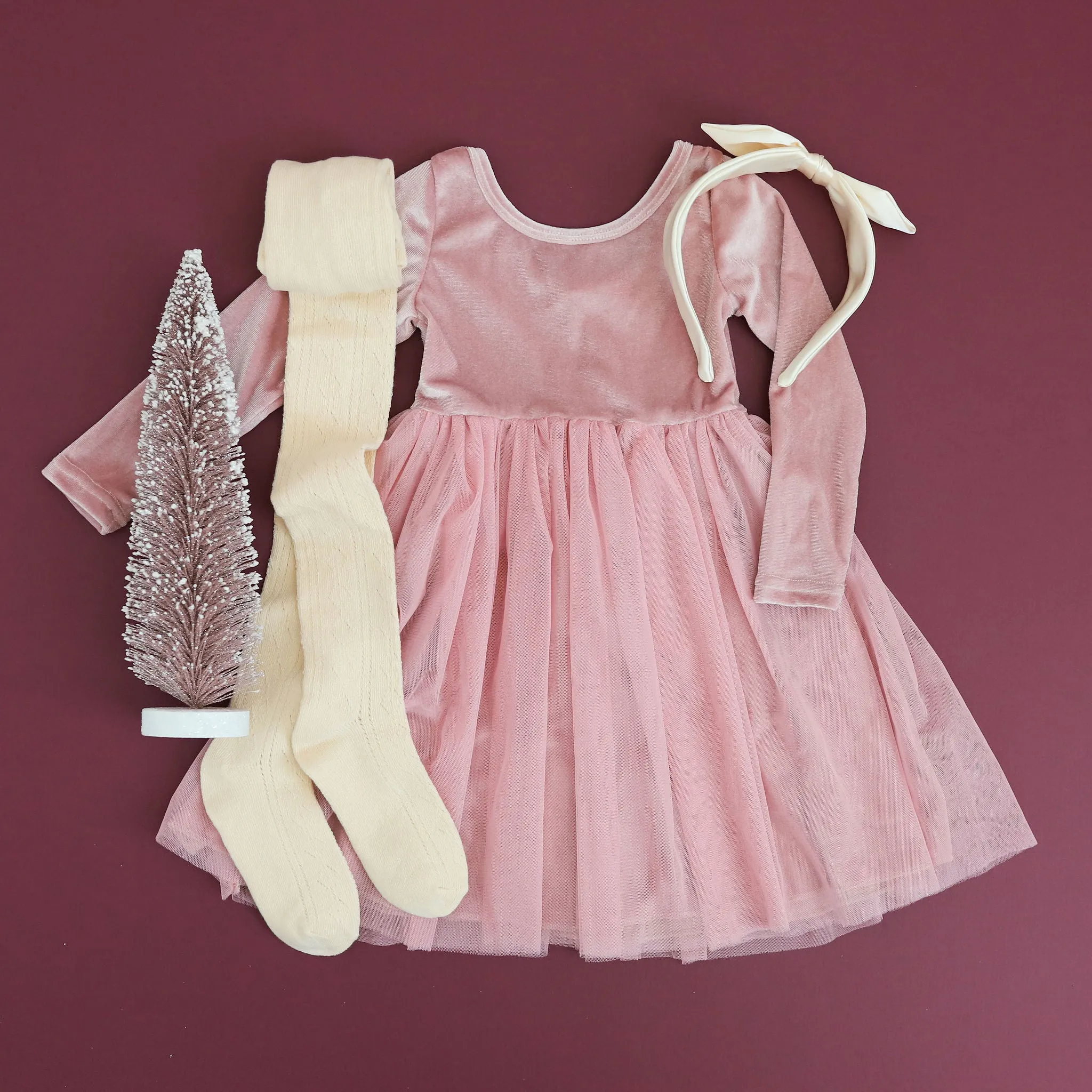 Ballet Velvet Tutu Dress