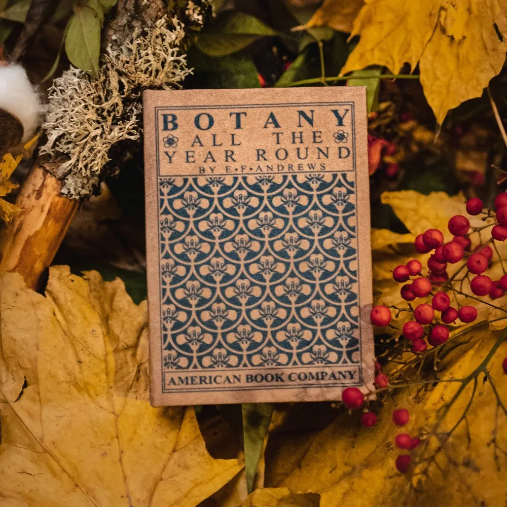 Botany All the Year Round Book Wallet | E. F. Andrews 1903