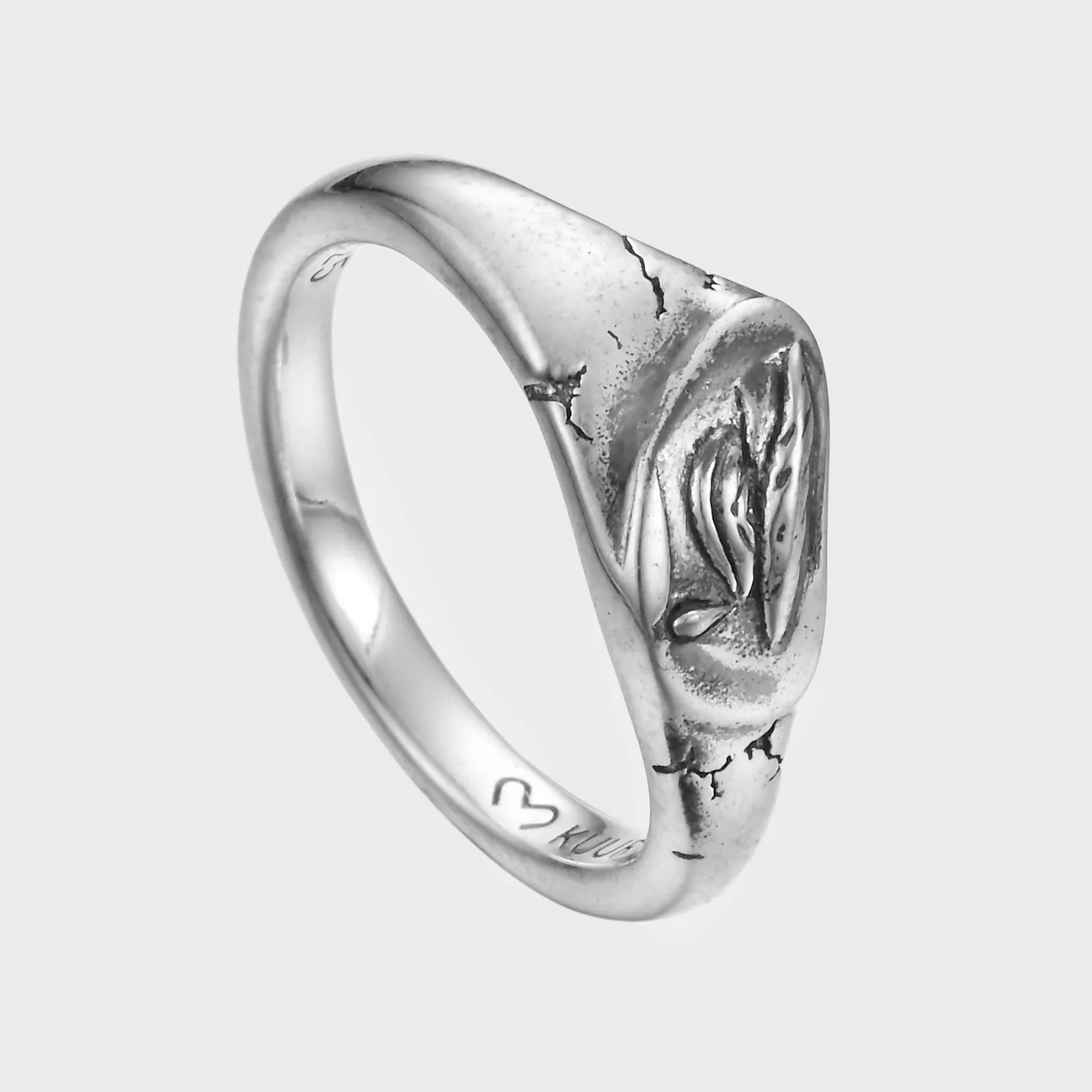 Fallen Angel Tear - Ring