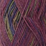 NATURALLY WAIKIWI PRINTS 4PLY