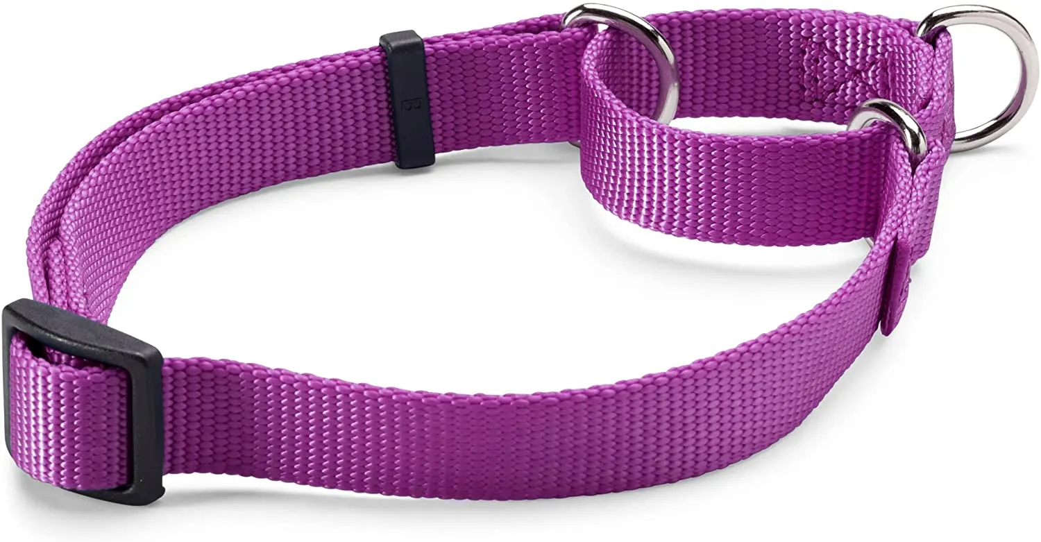 Orvis Personalized Martingale No-Pull Collar