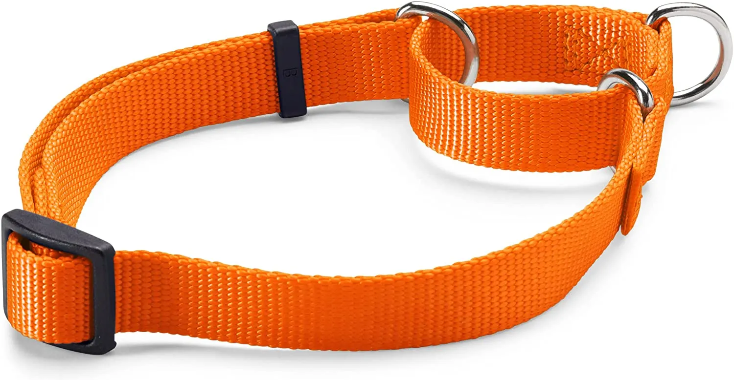 Orvis Personalized Martingale No-Pull Collar