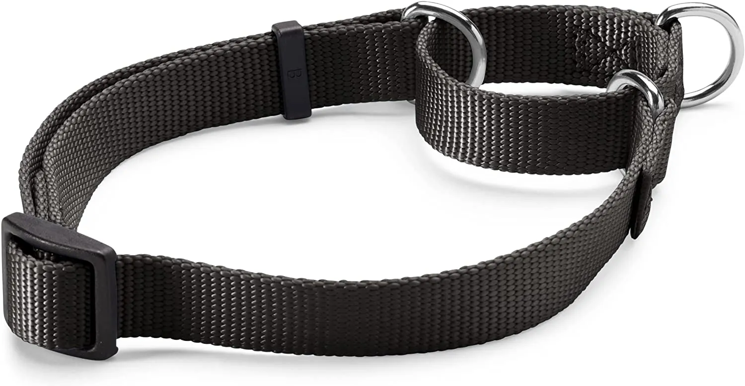 Orvis Personalized Martingale No-Pull Collar