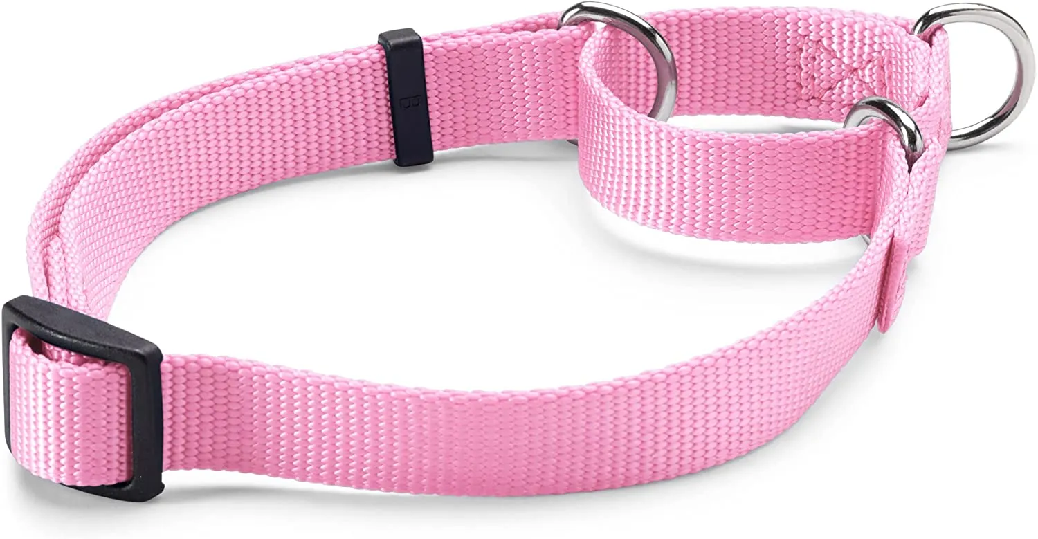 Orvis Personalized Martingale No-Pull Collar