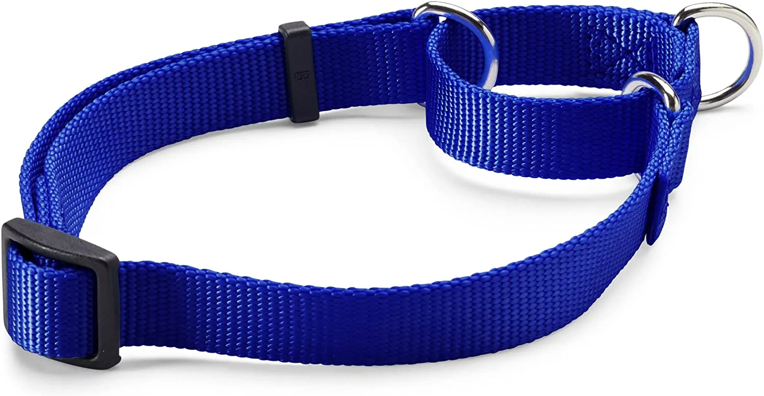 Orvis Personalized Martingale No-Pull Collar