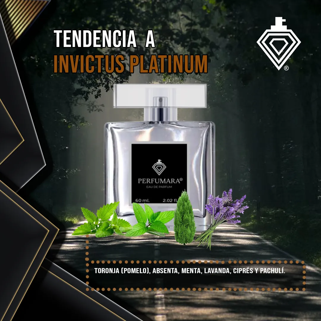 Tendencia a CInvictus Platinum